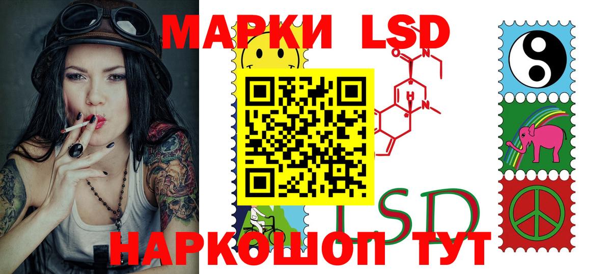 блэк спрут ТОР  ЛСД экстази ecstasy  LSD-25 экстази  Лсд 25 экстази кислота  Вход с VPN  Камышлов 