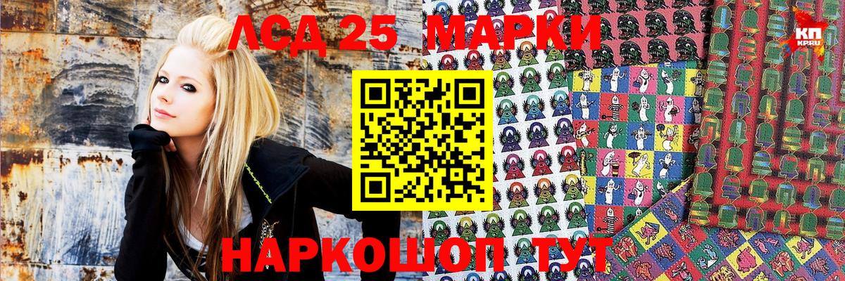 Марки N-bome 1,5мг  Марки 25I-NBOMe  Камышлов  где купить наркотик  Вход с VPN 