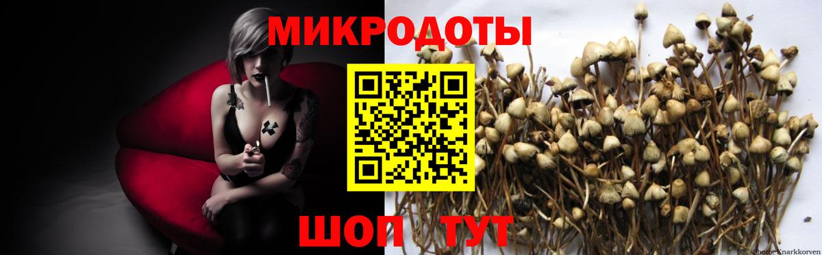 Псилоцибиновые грибы мухоморы Камышлов