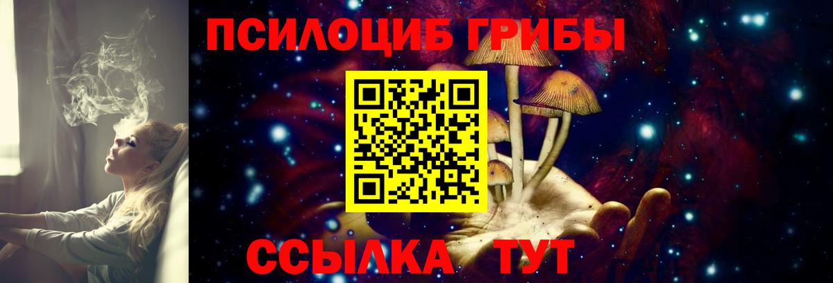 Камышлов  Псилоцибиновые грибы GOLDEN TEACHER  Вход с VPN 